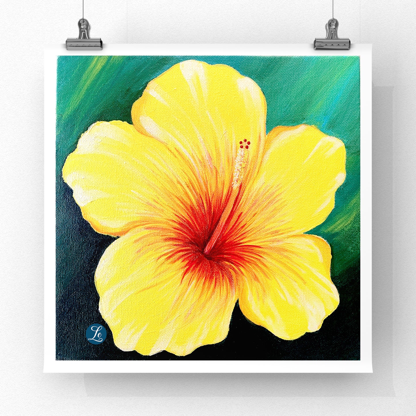 Florals Pack of 3
